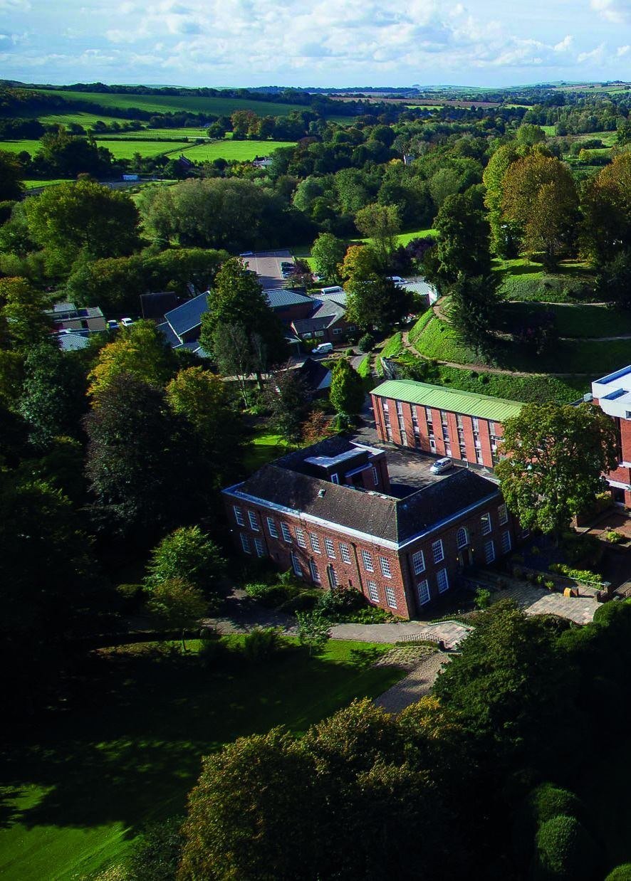 Open grounds in Marlborough