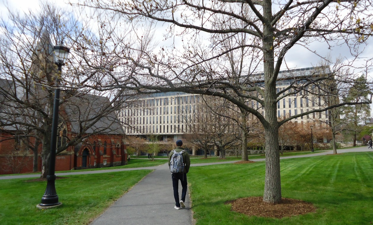 Students walking through a leafy USA campus