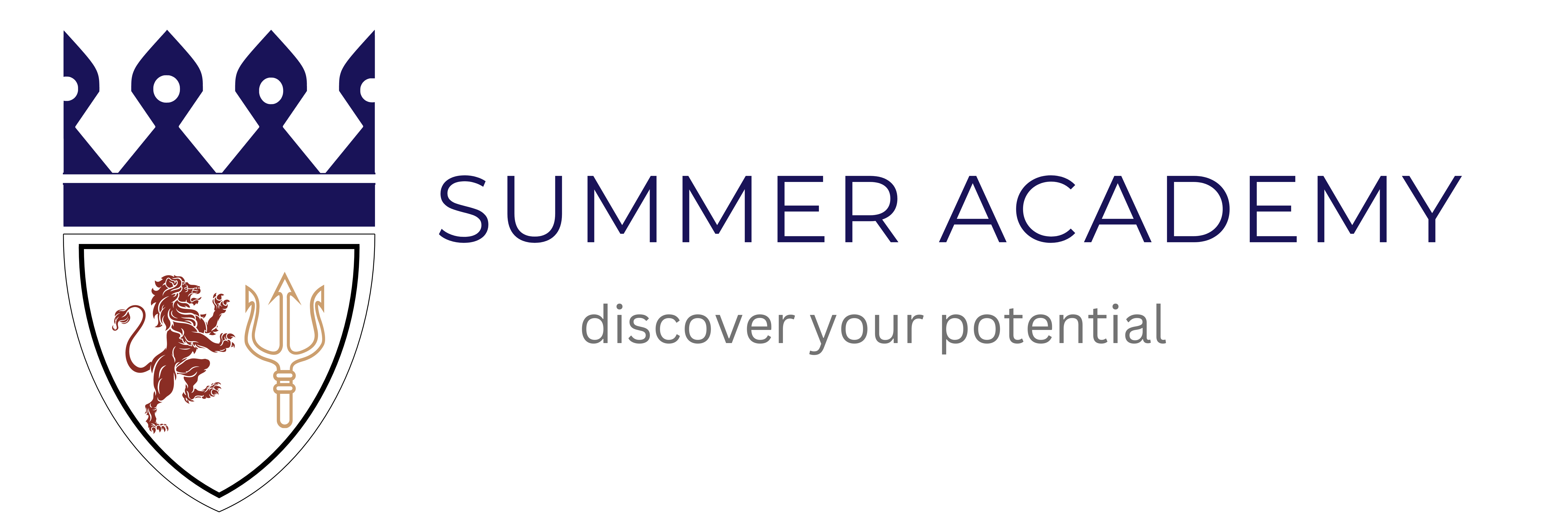 Summer Academy